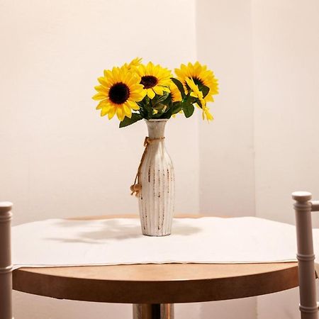 Diac Apartment Center Brasov Ngoại thất bức ảnh